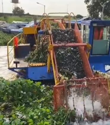 NIWA Clears Water Hyacinth in Lagos to ease Transportation (4)